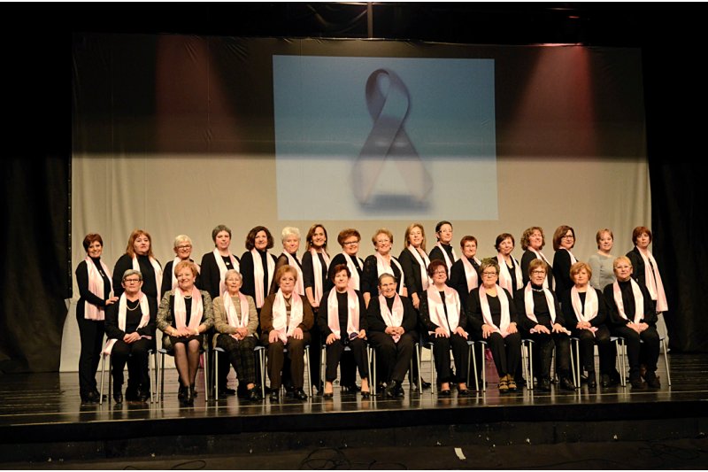 Los Premis d’Honor Vila de Pedreguer reconocen los méritos de la Fundación Cirne y del grupo Valentes i Positives Los Premis d’Honor Vila de Pedreguer reconocen los méritos de la Fundación Cirne y del grupo Valentes i Positives