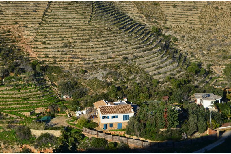 La Associació de les Colònies del Montgó afirma que se emitieron informes falsos sobre el chalet declarado ilegal La Associació de les Colònies del Montgó afirma que se emitieron informes falsos sobre el chalet declarado ilegal