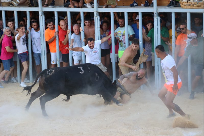 Animada primera jornada de bous a la mar en Dénia Animada primera jornada de bous a la mar en Dénia