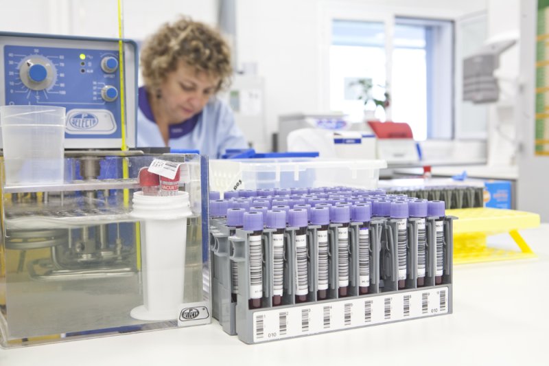 Especialistas del Hospital de Dénia alertan sobre los peligros del autodiagnóstico de SIBO Especialistas del Hospital de Dénia alertan sobre los peligros del autodiagnóstico de SIBO