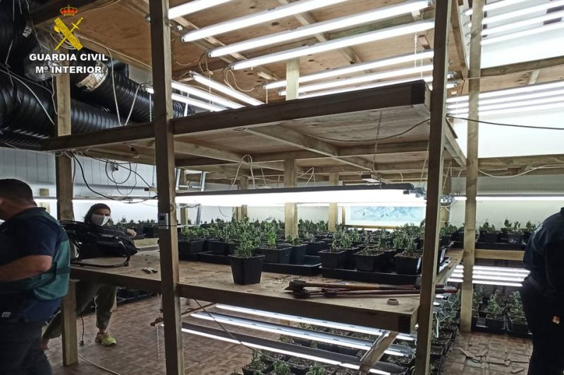 La Guardia Civil localiza una plantación indoor de marihuana de 500 metros cuadrados dentro de un chalet de Xàbia  La Guardia Civil localiza una plantación indoor de marihuana de 500 metros cuadrados dentro de un chalet de Xàbia