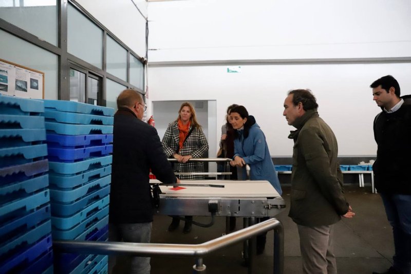 Ciudadanos pide a Puig que  Ciudadanos pide a Puig que