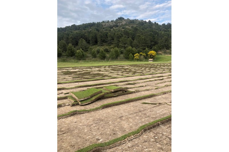 Comienza la reforma agronómica del recorrido Mestral de La Sella Golf Comienza la reforma agronómica del recorrido Mestral de La Sella Golf