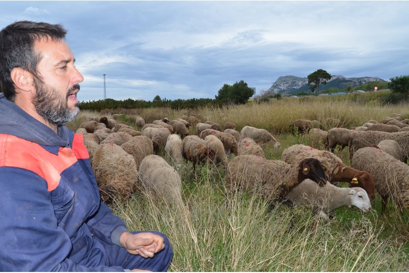 Pasión por la guirra Pasión por la guirra