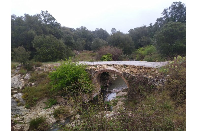 1244: colons i privilegis per a Dénia 1244: colons i privilegis per a Dénia