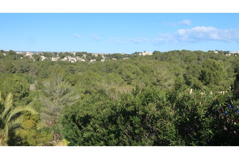 Podemos advierte que el Plan General de Xàbia “es una mala noticia para el medio ambiente” Podemos advierte que el Plan General de Xàbia “es una mala noticia para el medio ambiente”