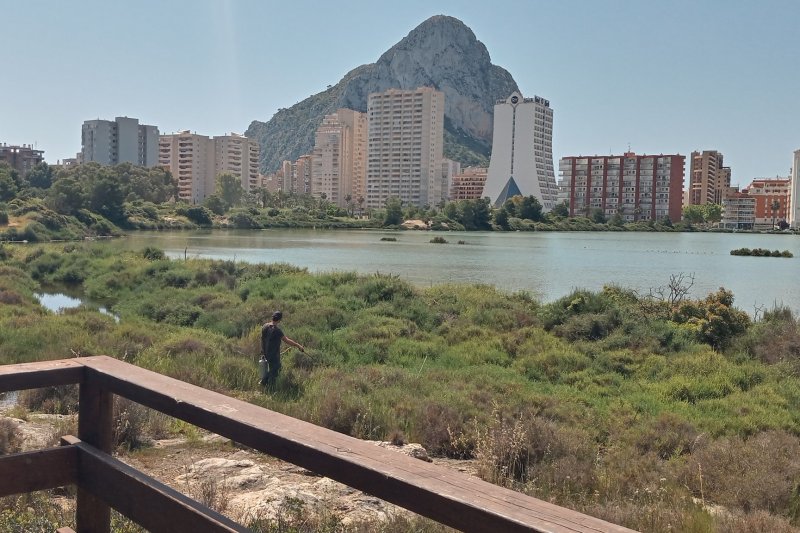 El Ayuntamiento de Calp pone en marcha un plan de fumigación para la prevención y erradicación de mosquitos El Ayuntamiento de Calp pone en marcha un plan de fumigación para la prevención y erradicación de mosquitos