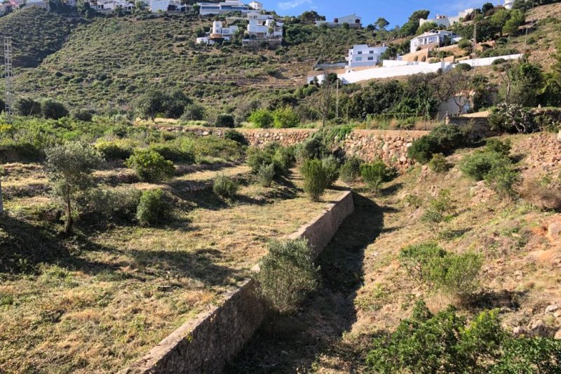 El presidente de la Junta Rectora del Montgó califica de “barbaridad” el cortafuegos de Les Rotes El presidente de la Junta Rectora del Montgó califica de “barbaridad” el cortafuegos de Les Rotes