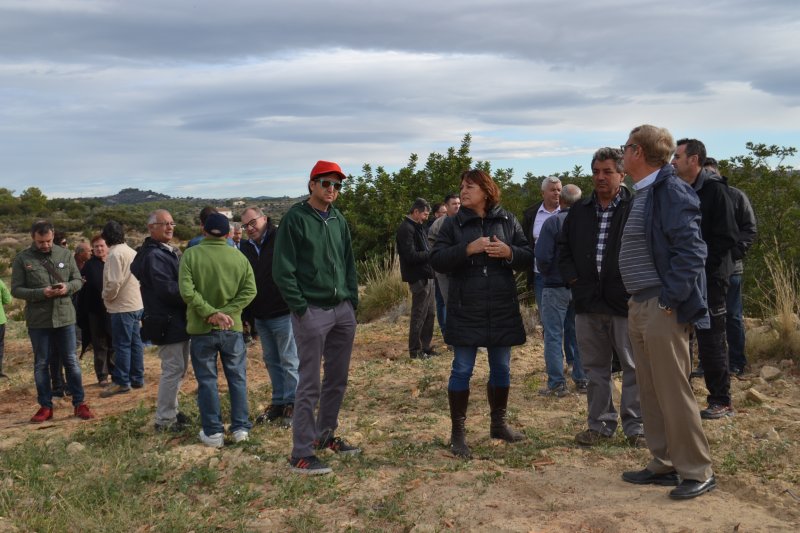 Agricultors i veïns de Benissa protesten per la tala massiva d’ametlers sans per combatre la xylella Agricultors i veïns de Benissa protesten per la tala massiva d’ametlers sans per combatre la xylella