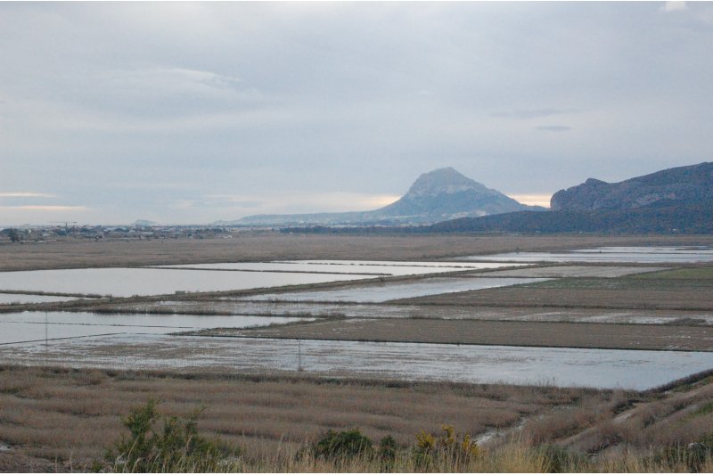 El exalcalde de Pego, Carlos Pascual, afronta un nuevo juicio por el pago indebido de facturas en la marjal El exalcalde de Pego, Carlos Pascual, afronta un nuevo juicio por el pago indebido de facturas en la marjal