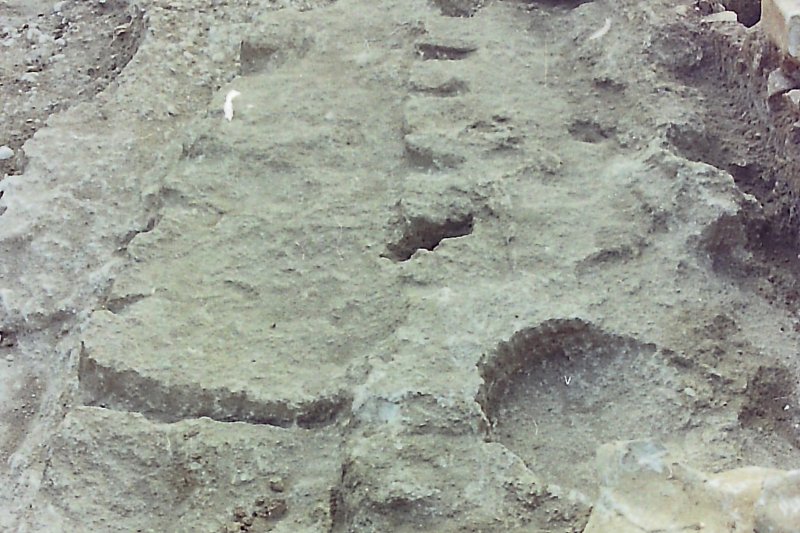 Una pedrera de pedres de molí/ MASSU SENTÍ (*) Una pedrera de pedres de molí/ MASSU SENTÍ (*)