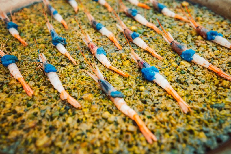 Jornada Viu l’arròs Mariner: cultura del mar en la cocina Jornada Viu l’arròs Mariner: cultura del mar en la cocina