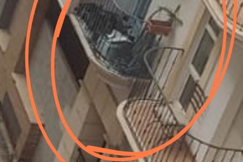 Desalojan un edificio en Dénia por el incendio en una vivienda  Desalojan un edificio en Dénia por el incendio en una vivienda