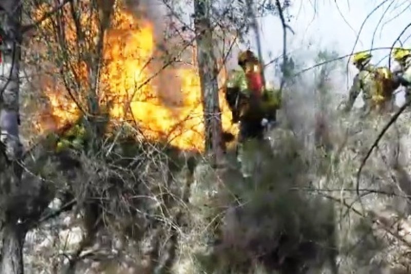 Un padre y un hijo han sido detenidos como presuntos autores de la quema agrícola que provocó el incendio de Tàrbena  Un padre y un hijo han sido detenidos como presuntos autores de la quema agrícola que provocó el incendio de Tàrbena