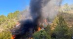 Susto en el Montgó: arde un coche en Les Planes y se calcinan unos 1.500 m2 Susto en el Montgó: arde un coche en Les Planes y se calcinan unos 1.500 m2