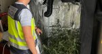 Golpe a las asociaciones cannábicas de Dénia en el último año con catorce detenidos de cinco agrupaciones Golpe a las asociaciones cannábicas de Dénia en el último año con catorce detenidos de cinco agrupaciones