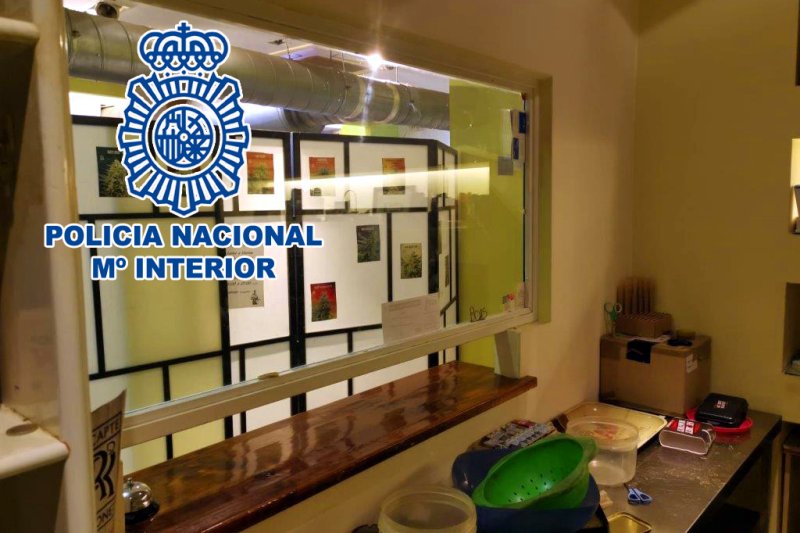 Golpe a las asociaciones cannábicas de Dénia en el último año con catorce detenidos de cinco agrupaciones Golpe a las asociaciones cannábicas de Dénia en el último año con catorce detenidos de cinco agrupaciones