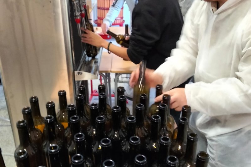 El ciclo formativo Olis d’Oliva i Vins de Teulada se pone a prueba en su primera Cata de Vinos El ciclo formativo Olis d’Oliva i Vins de Teulada se pone a prueba en su primera Cata de Vinos