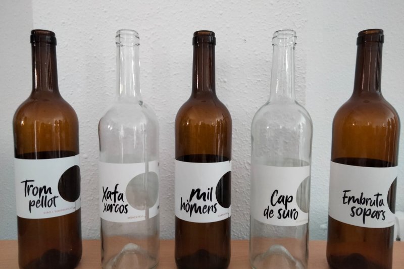 El ciclo formativo Olis d’Oliva i Vins de Teulada se pone a prueba en su primera Cata de Vinos El ciclo formativo Olis d’Oliva i Vins de Teulada se pone a prueba en su primera Cata de Vinos