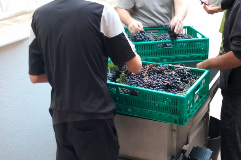 El ciclo formativo Olis d’Oliva i Vins de Teulada se pone a prueba en su primera Cata de Vinos El ciclo formativo Olis d’Oliva i Vins de Teulada se pone a prueba en su primera Cata de Vinos