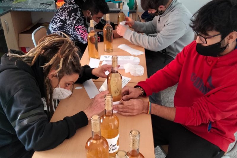 El ciclo formativo Olis d’Oliva i Vins de Teulada se pone a prueba en su primera Cata de Vinos El ciclo formativo Olis d’Oliva i Vins de Teulada se pone a prueba en su primera Cata de Vinos