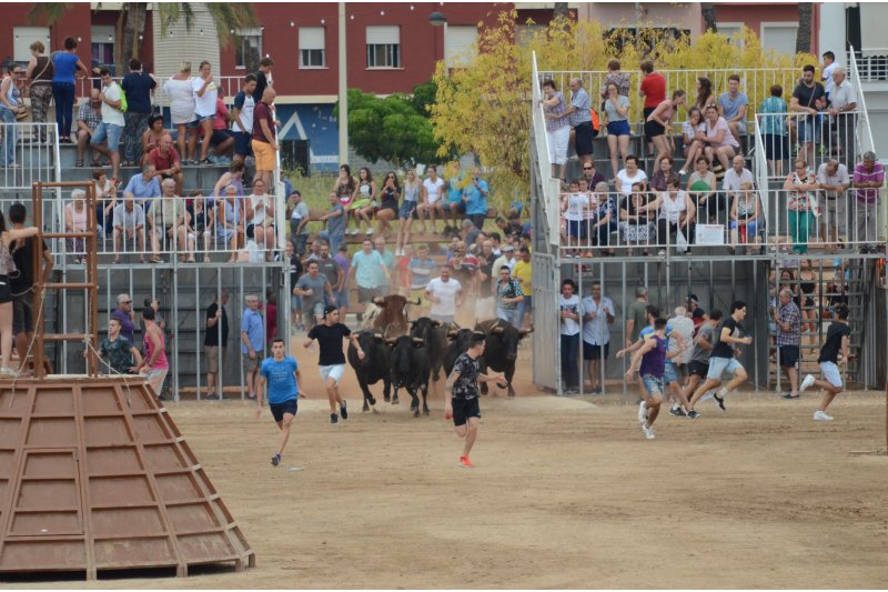 Gata rescata les Festes del Santíssim Crist amb totes les seues tradicions  Gata rescata les Festes del Santíssim Crist amb totes les seues tradicions