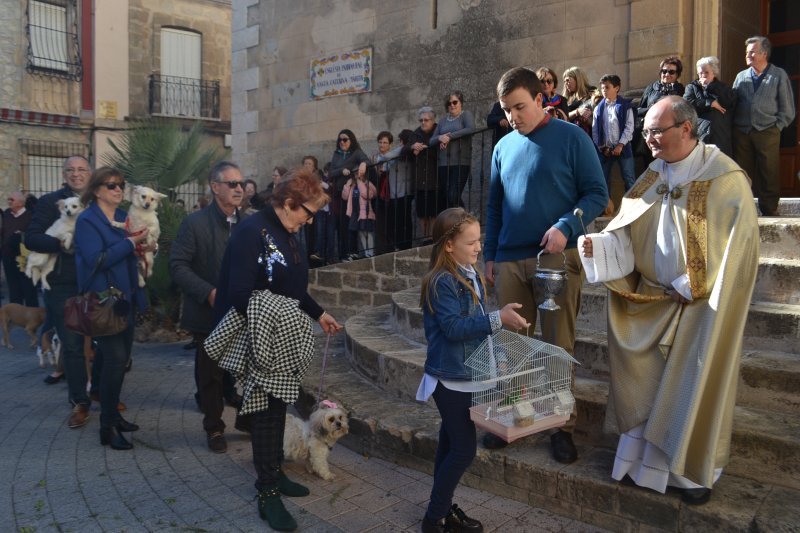 La festa de Sant Antoni de Teulada posa en valor tradicions ancestrals La festa de Sant Antoni de Teulada posa en valor tradicions ancestrals