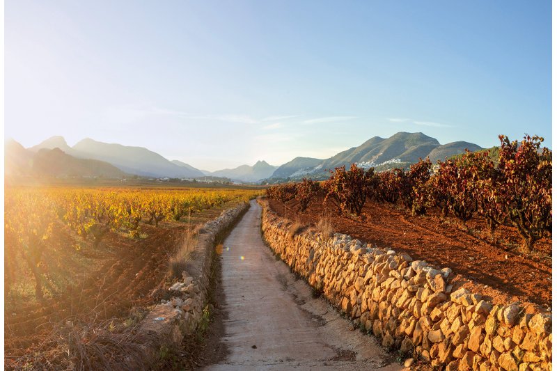 L’empresariat demana coordinació de l’oferta, itineraris simples i autenticitat perquè la gastronomia i el paisatge siguen un recurs real L’empresariat demana coordinació de l’oferta, itineraris simples i autenticitat perquè la gastronomia i el paisatge siguen un recurs real