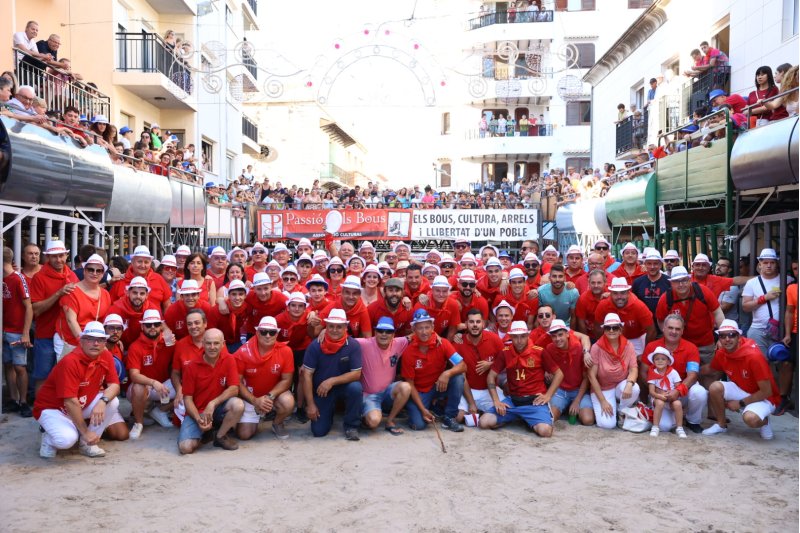 Passió desbordada amb els bous serrils de les Festes de Pedreguer Passió desbordada amb els bous serrils de les Festes de Pedreguer