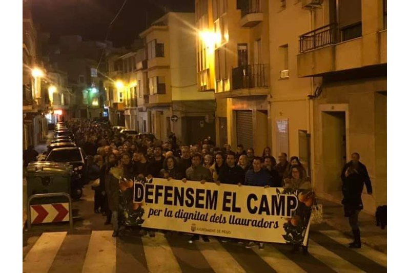 La comarca reclama la defensa de la taronja valenciana a Pego, Ondara i Pedreguer La comarca reclama la defensa de la taronja valenciana a Pego, Ondara i Pedreguer