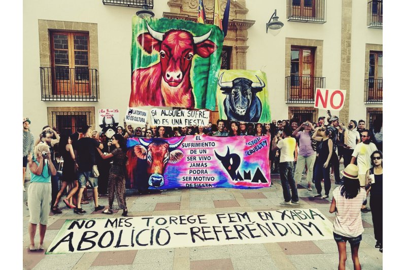 La plataforma animalista PAMA dice haber recopilado 134.738 firmas contra los festejos taurinos de Xàbia La plataforma animalista PAMA dice haber recopilado 134.738 firmas contra los festejos taurinos de Xàbia