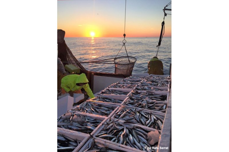 Xàbia potencia la pesca como recurso turístico  Xàbia potencia la pesca como recurso turístico