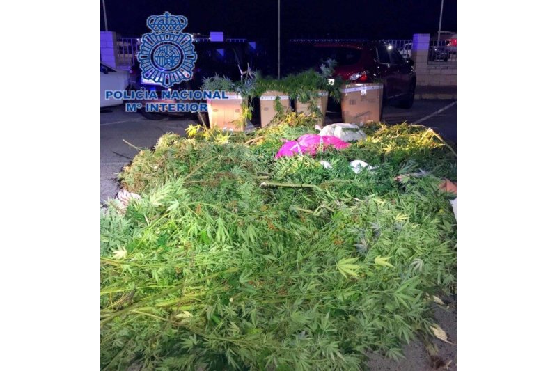 Desarticulada una organización criminal dedicada al tráfico de drogas en Denia Desarticulada una organización criminal dedicada al tráfico de drogas en Denia