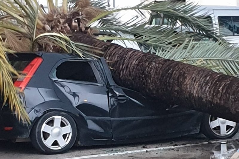 Gloria azota Xàbia y Gata y deja las primeras nieves en Castell de Castells Gloria azota Xàbia y Gata y deja las primeras nieves en Castell de Castells