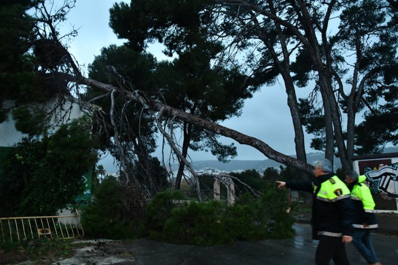 Gloria azota Xàbia y Gata y deja las primeras nieves en Castell de Castells Gloria azota Xàbia y Gata y deja las primeras nieves en Castell de Castells