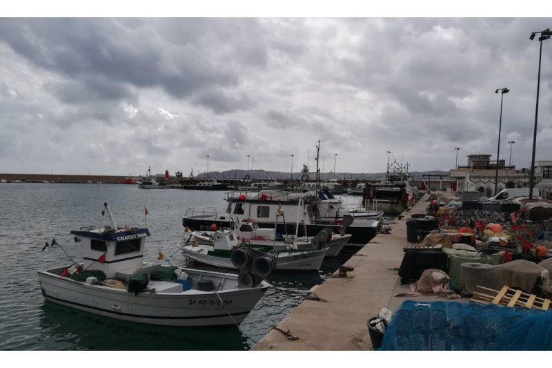 Las Cofradías de Dénia y Xàbia no faenaran esta semana por cautela ante el Coronavirus i por la fuerte caída de precios que ha provocado el freno de demanda de la hostelería Las Cofradías de Dénia y Xàbia no faenaran esta semana por cautela ante el Coronavirus i por la fuerte caída de precios que ha provocado el freno de demanda de la hostelería