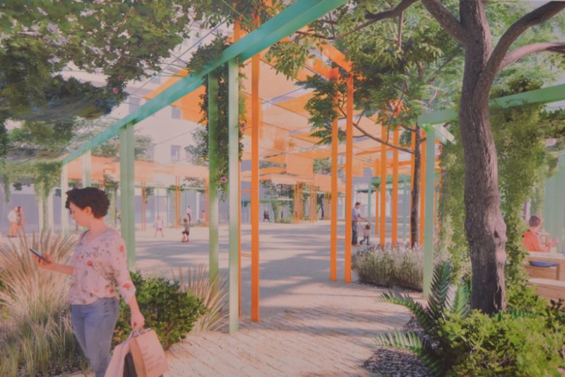 Un oasis mediterráneo de sombra y frescor en el Carrer Campo de Dénia Un oasis mediterráneo de sombra y frescor en el Carrer Campo de Dénia