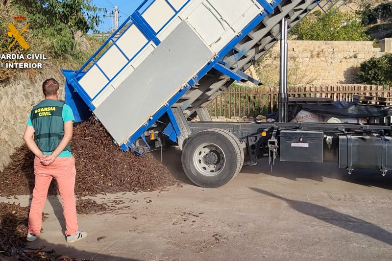 La Guardia Civil investiga a 17 personas por robos de algarroba en la Marina Alta La Guardia Civil investiga a 17 personas por robos de algarroba en la Marina Alta