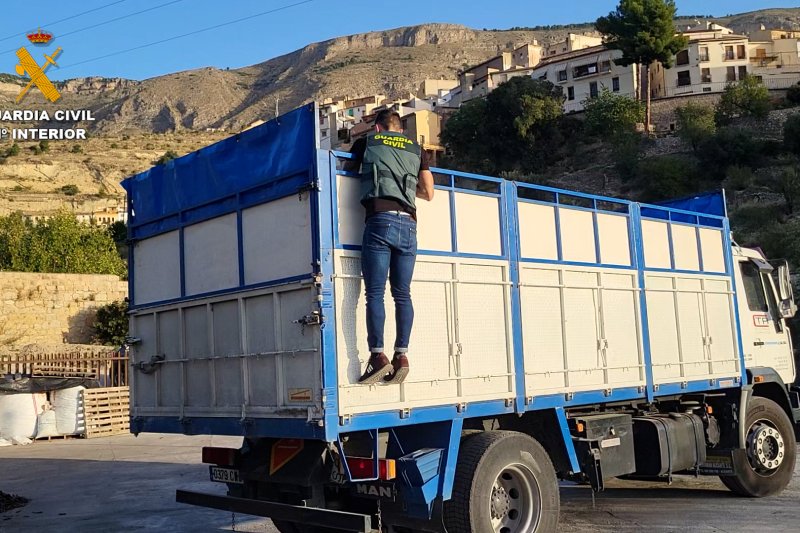 La Guardia Civil investiga a 17 personas por robos de algarroba en la Marina Alta La Guardia Civil investiga a 17 personas por robos de algarroba en la Marina Alta