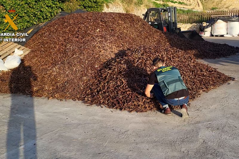 La Guardia Civil investiga a 17 personas por robos de algarroba en la Marina Alta La Guardia Civil investiga a 17 personas por robos de algarroba en la Marina Alta