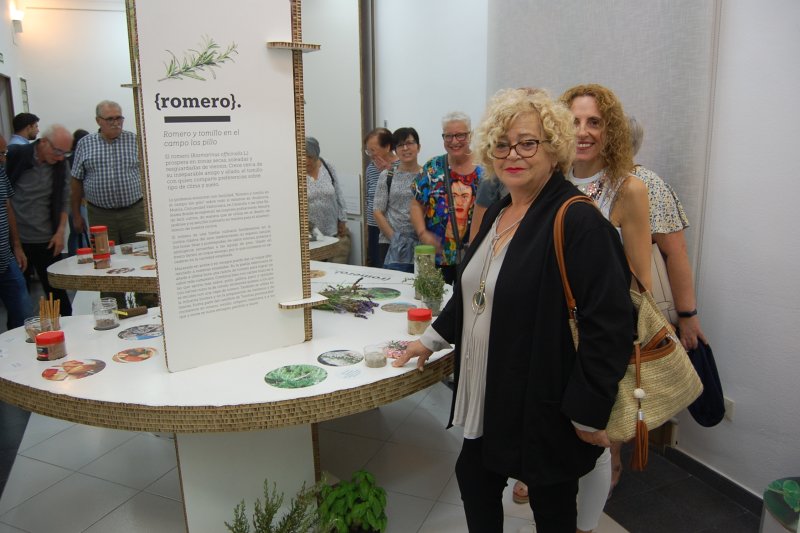 La muestra “Las especias. El Universo del sabor” plantea un recorrido sensorial por el mundo de Elcano y Magallanes en el Museu d’Art Contemporani de Pego La muestra “Las especias. El Universo del sabor” plantea un recorrido sensorial por el mundo de Elcano y Magallanes en el Museu d’Art Contemporani de Pego