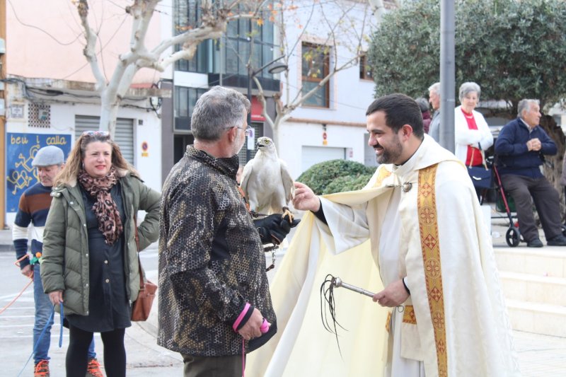 La festa de Sant Antoni a Ondara beneeix a més de quatre-centes mascotes La festa de Sant Antoni a Ondara beneeix a més de quatre-centes mascotes