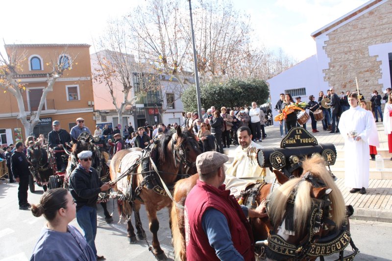 La festa de Sant Antoni a Ondara beneeix a més de quatre-centes mascotes La festa de Sant Antoni a Ondara beneeix a més de quatre-centes mascotes