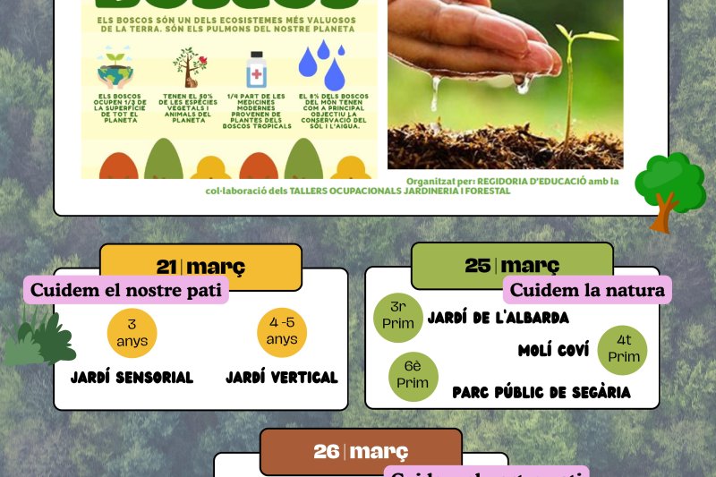 La Regidoria d’Educació d’Ondara commemora el Dia Internacional dels boscos als col·legis La Regidoria d’Educació d’Ondara commemora el Dia Internacional dels boscos als col·legis