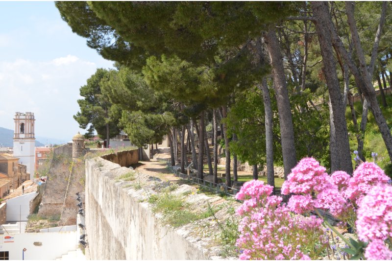 Visitas guiadas, espectáculo y conferencias con los museos de Dénia Visitas guiadas, espectáculo y conferencias con los museos de Dénia