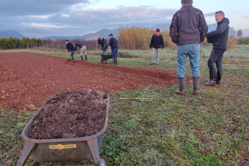 Caritas de Duanes de Xàbia recibe desde Países Bajos 200 kg de patatas solidarias para la siembra Caritas de Duanes de Xàbia recibe desde Países Bajos 200 kg de patatas solidarias para la siembra