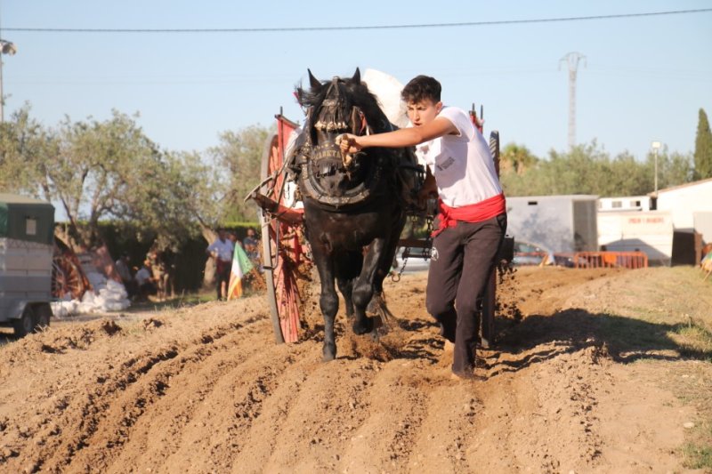 El tir i arrossegament fa emergir el vessant esportiu més autòcton en el preàmbul de les festes de Pego El tir i arrossegament fa emergir el vessant esportiu més autòcton en el preàmbul de les festes de Pego