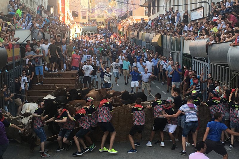 Pedreguer en festes Pedreguer en festes