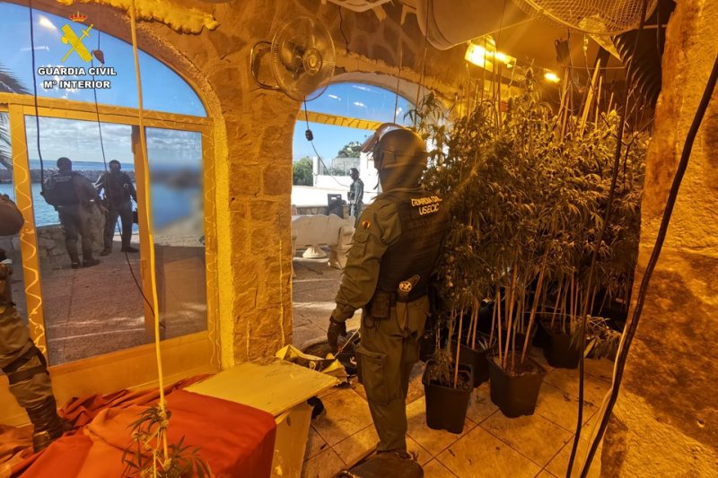 La Guardia Civil localiza una plantación de marihuana en un chalet de Calp La Guardia Civil localiza una plantación de marihuana en un chalet de Calp