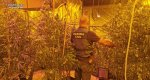 La Guardia Civil localiza una plantación de marihuana en un chalet de Calp La Guardia Civil localiza una plantación de marihuana en un chalet de Calp